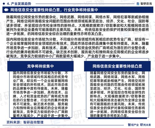2024-2030年中國網絡信息安全行業市場調查研究及發展前景規劃報告